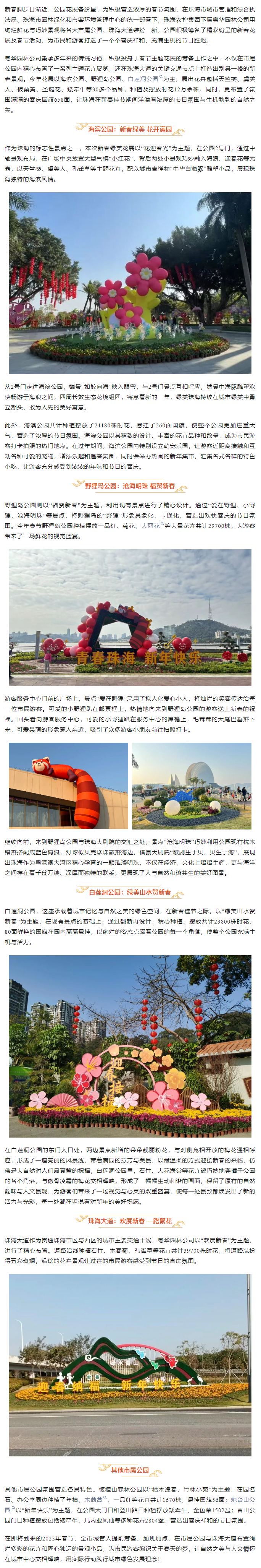 喜迎新春丨市屬公園珠海大道盛裝賀歲.png